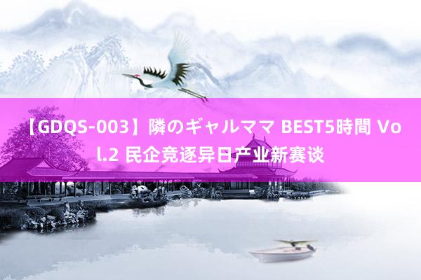 【GDQS-003】隣のギャルママ BEST5時間 Vol.2 民企竞逐异日产业新赛谈