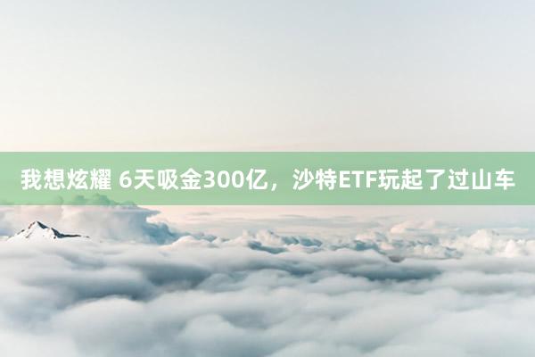 我想炫耀 6天吸金300亿，沙特ETF玩起了过山车