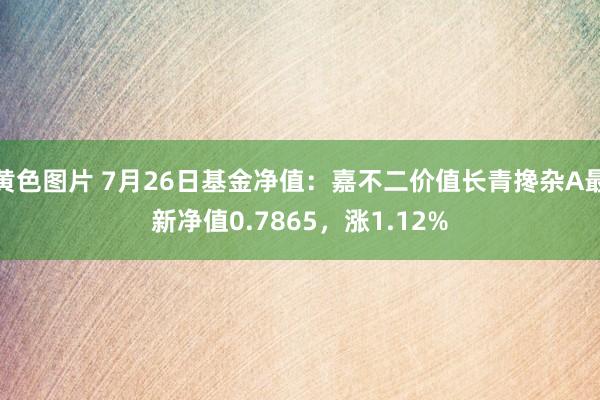 黄色图片 7月26日基金净值：嘉不二价值长青搀杂A最新净值0.7865，涨1.12%