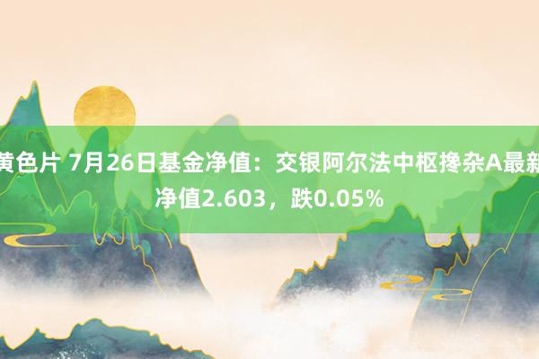 黄色片 7月26日基金净值：交银阿尔法中枢搀杂A最新净值2.603，跌0.05%