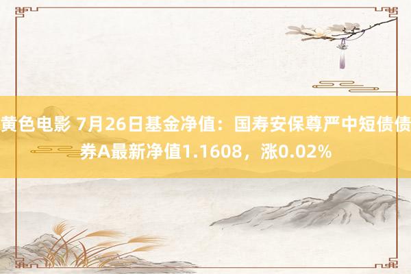 黄色电影 7月26日基金净值：国寿安保尊严中短债债券A最新净值1.1608，涨0.02%