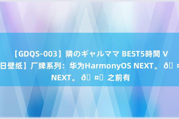 【GDQS-003】隣のギャルママ BEST5時間 Vol.2 【逐日壁纸】厂牌系列：华为HarmonyOS NEXT。 ?之前有