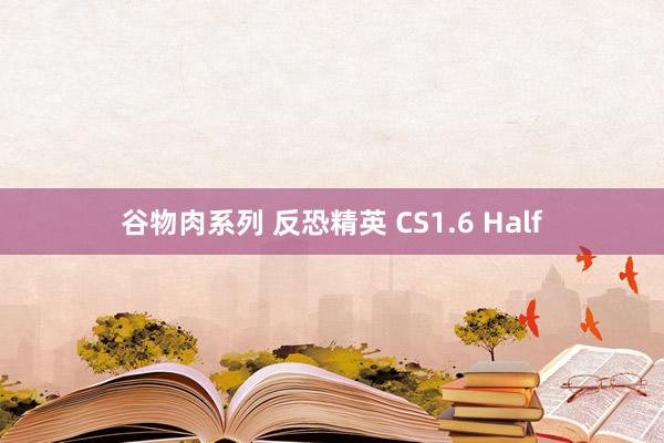 谷物肉系列 反恐精英 CS1.6 Half