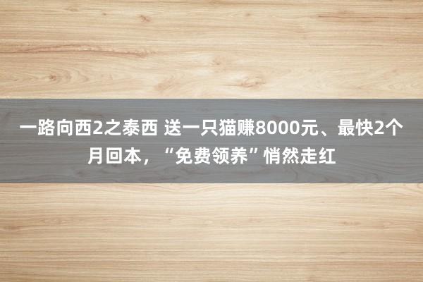 一路向西2之泰西 送一只猫赚8000元、最快2个月回本，“免费领养”悄然走红