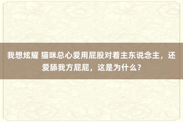 我想炫耀 猫咪总心爱用屁股对着主东说念主，还爱舔我方屁屁，这是为什么？