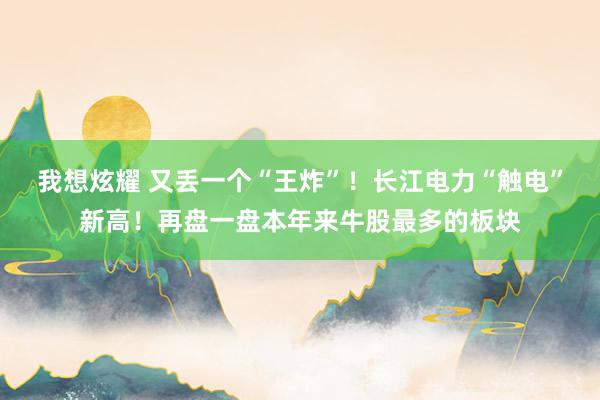 我想炫耀 又丢一个“王炸”！长江电力“触电”新高！再盘一盘本年来牛股最多的板块