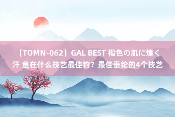 【TOMN-062】GAL BEST 褐色の肌に煌く汗 鱼在什么技艺最佳钓？最佳垂纶的4个技艺