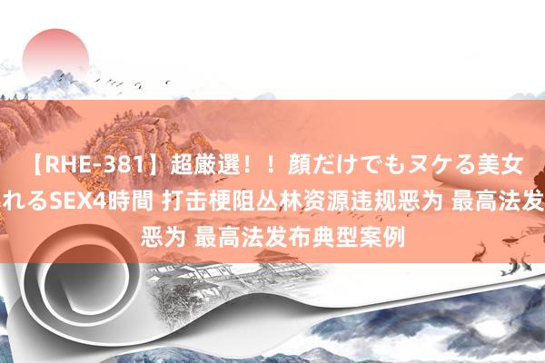 【RHE-381】超厳選！！顔だけでもヌケる美女の巨乳が揺れるSEX4時間 打击梗阻丛林资源违规恶为 最高法发布典型案例