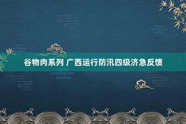 谷物肉系列 广西运行防汛四级济急反馈