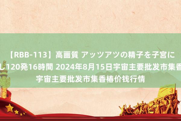 【RBB-113】高画質 アッツアツの精子を子宮に孕ませ中出し120発16時間 2024年8月15日宇宙主要批发市集香椿价钱行情