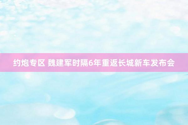 约炮专区 魏建军时隔6年重返长城新车发布会