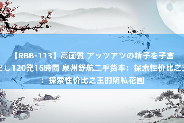 【RBB-113】高画質 アッツアツの精子を子宮に孕ませ中出し120発16時間 泉州舒航二手货车：探索性价比之王的阴私花圃