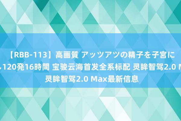 【RBB-113】高画質 アッツアツの精子を子宮に孕ませ中出し120発16時間 宝骏云海首发全系标配 灵眸智驾2.0 Max最新信息