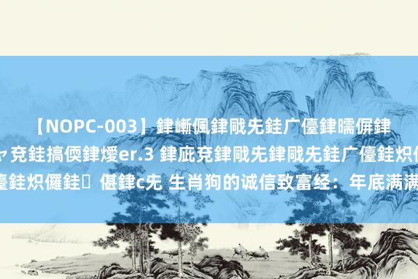 【NOPC-003】銉嶃偑銉戙兂銈广儓銉曘偋銉嗐偅銉冦偡銉ャ儫銉ャ兗銈搞偄銉燰er.3 銉庛兗銉戙兂銉戙兂銈广儓銈炽儸銈偡銉с兂 生肖狗的诚信致富经：年底满满得益，幸福东谈主生！