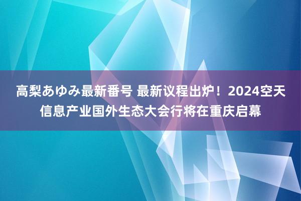 高梨あゆみ最新番号 最新议程出炉！2024空天信息产业国外生态大会行将在重庆启幕