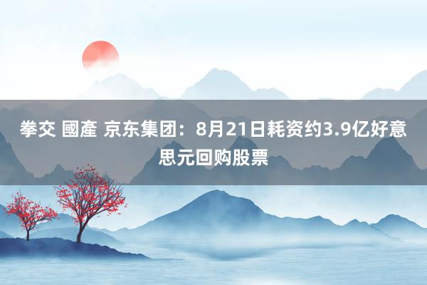 拳交 國產 京东集团：8月21日耗资约3.9亿好意思元回购股票