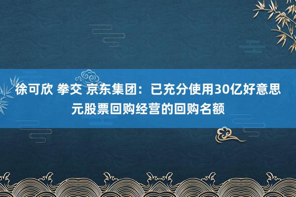 徐可欣 拳交 京东集团：已充分使用30亿好意思元股票回购经营的回购名额