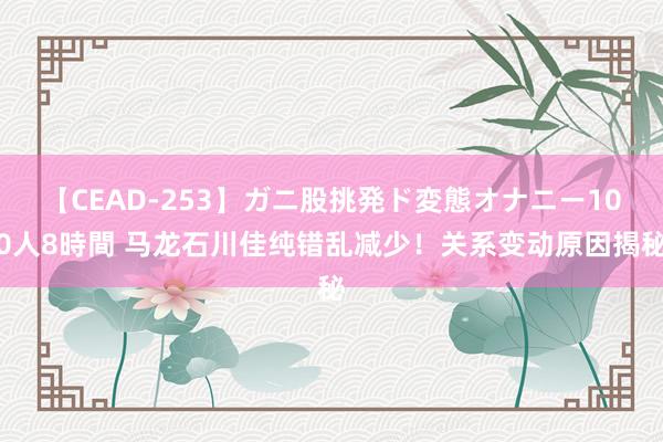 【CEAD-253】ガニ股挑発ド変態オナニー100人8時間 马龙石川佳纯错乱减少！关系变动原因揭秘