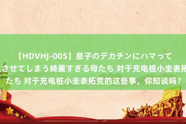 【HDVHJ-005】息子のデカチンにハマってしまい毎日のように挿入させてしまう綺麗すぎる母たち 对于充电桩小圭表拓荒的这些事，你知谈吗？