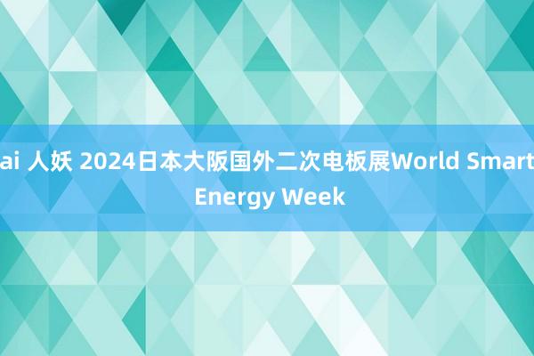 ai 人妖 2024日本大阪国外二次电板展World Smart Energy Week