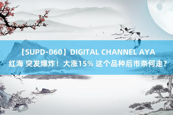 【SUPD-060】DIGITAL CHANNEL AYA 红海 突发爆炸！大涨15% 这个品种后市奈何走？