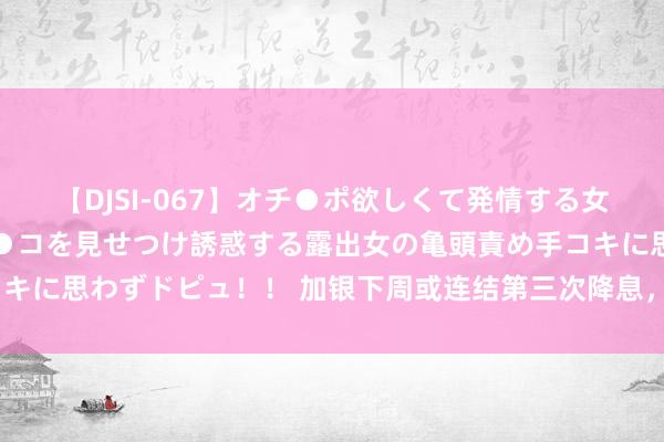 【DJSI-067】オチ●ポ欲しくて発情する女たち ところ構わずオマ●コを見せつけ誘惑する露出女の亀頭責め手コキに思わずドピュ！！ 加银下周或连结第三次降息，降息幅度为25基点！