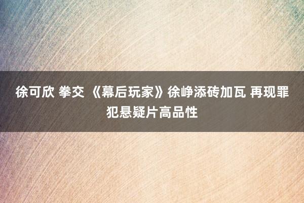 徐可欣 拳交 《幕后玩家》徐峥添砖加瓦 再现罪犯悬疑片高品性