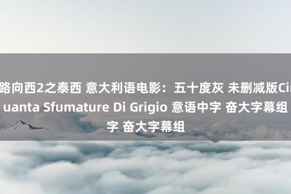 一路向西2之泰西 意大利语电影：五十度灰 未删减版Cinquanta Sfumature Di Grigio 意语中字 奋大字幕组