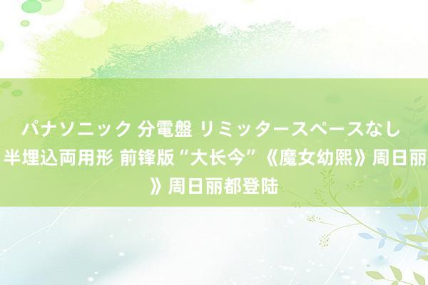 パナソニック 分電盤 リミッタースペースなし 露出・半埋込両用形 前锋版“大长今”《魔女幼熙》周日丽都登陆