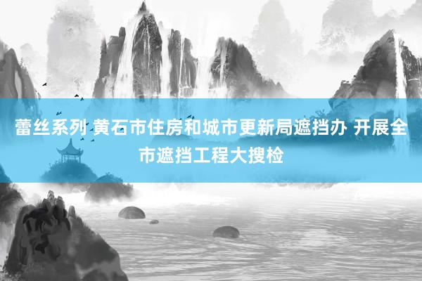 蕾丝系列 黄石市住房和城市更新局遮挡办 开展全市遮挡工程大搜检