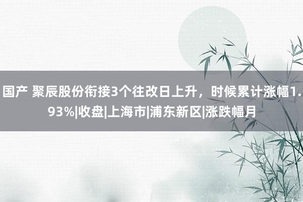 国产 聚辰股份衔接3个往改日上升，时候累计涨幅1.93%|收盘|上海市|浦东新区|涨跌幅月